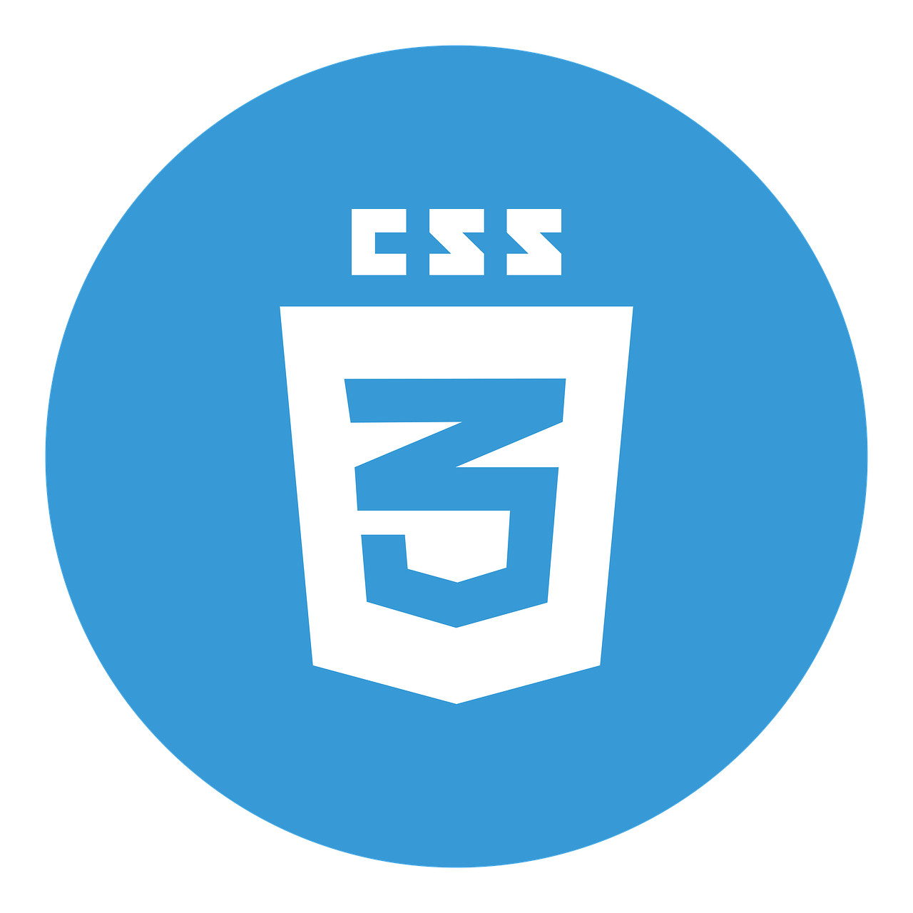 CSS CSS